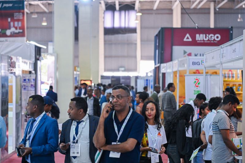 445046806_852 18673029050 7_7905365804594588668_n